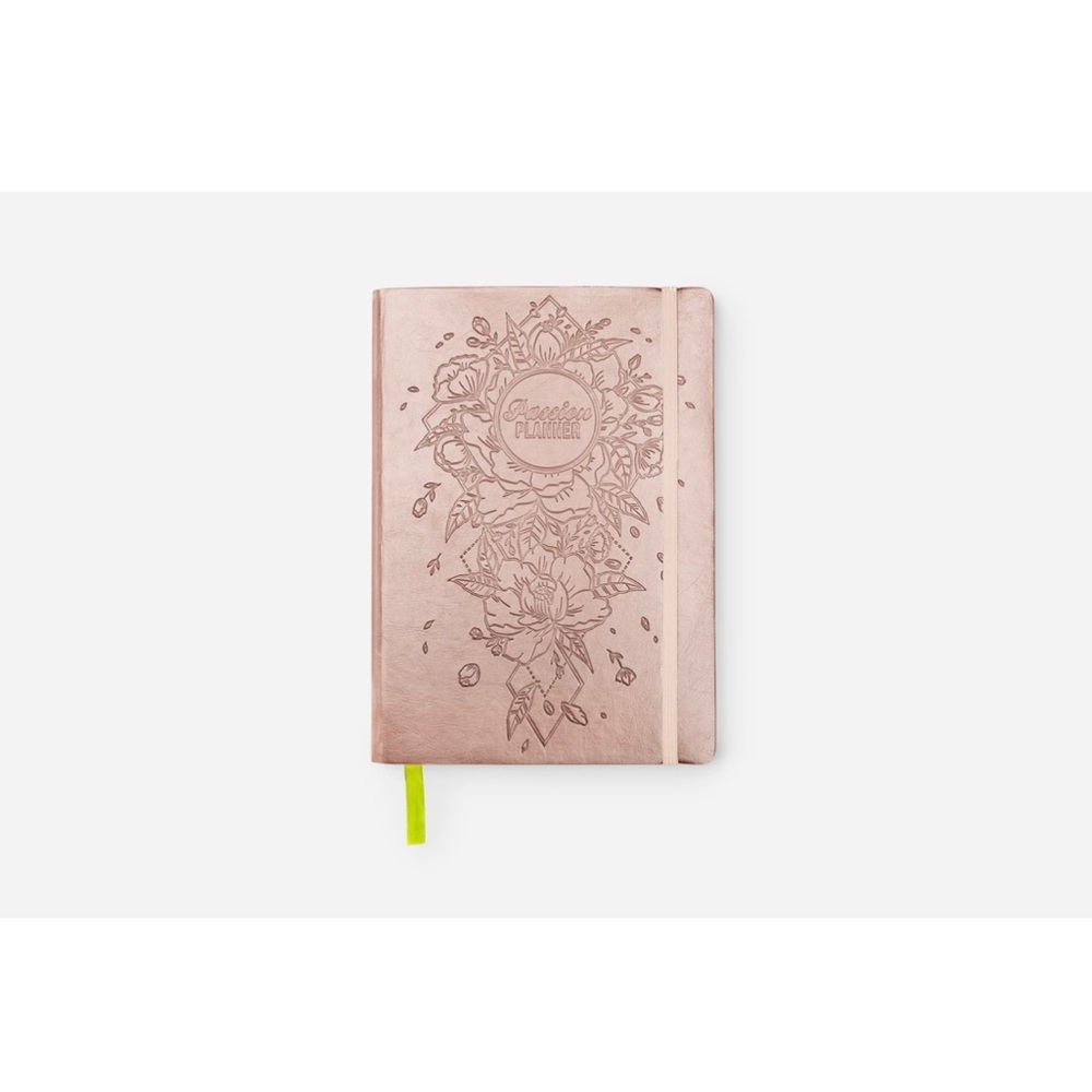 Passion Planner Weekly 2021 Annual Rose Gold Large Brand New In Package - Picture 2 of 6